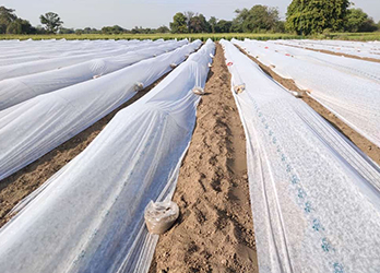 Agriculture et horticulture