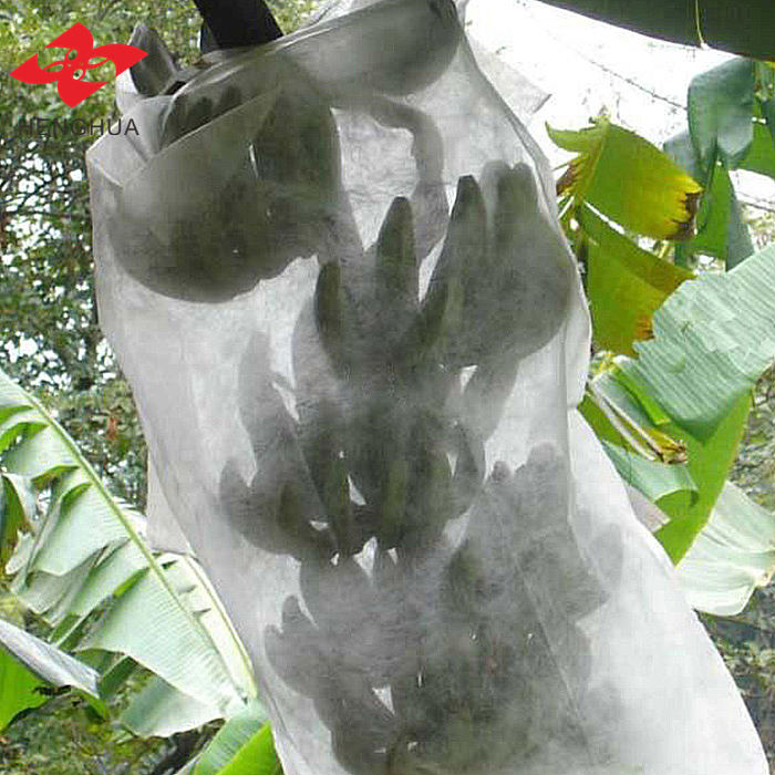 Tissu non tissé spunbond en polypropylène pour l'agriculture | Toile de protection des plantes et des cultures résistante aux UV