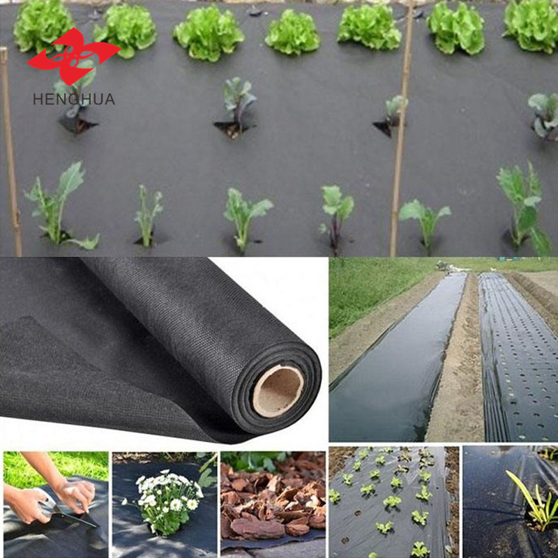 Henghua Fabric and Biodegradable Spunbond Nonwoven Fabric PP Nonwoven Fabric Rolls 100% PP Nonwoven Fabric